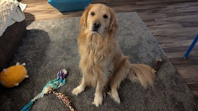 PXL_20251224_012316770.MP