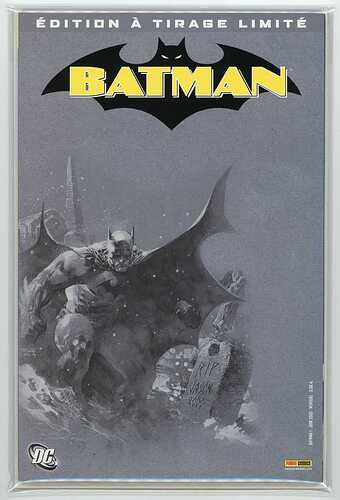 Batman Hush FRENCH Euro edition RIP Jason Todd Jim Lee cover