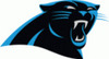 :panthers: